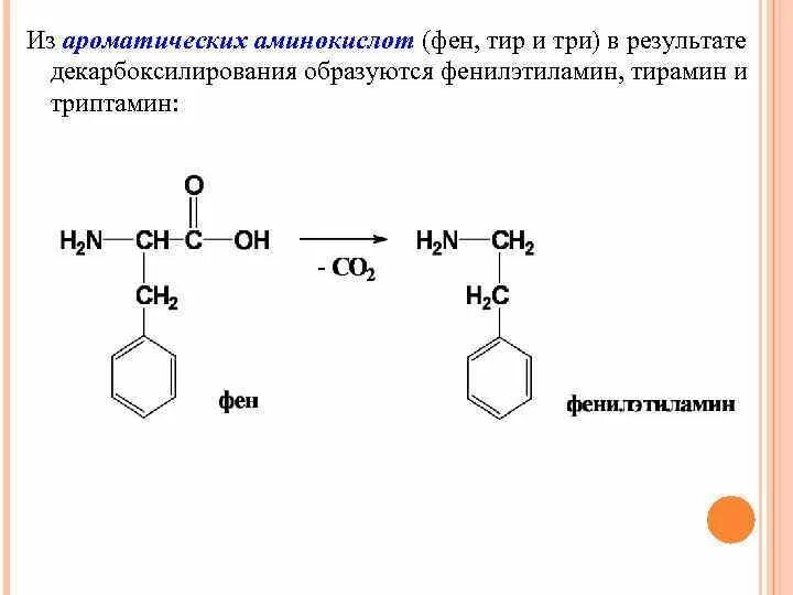 Тир формула. Фен аминокислота формула. Фен в тир. Аминокислоты тир фен. Схемы обмена аминокислот фен мет.