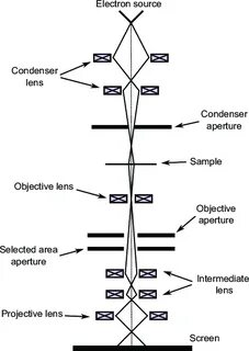 Transmission microscopy