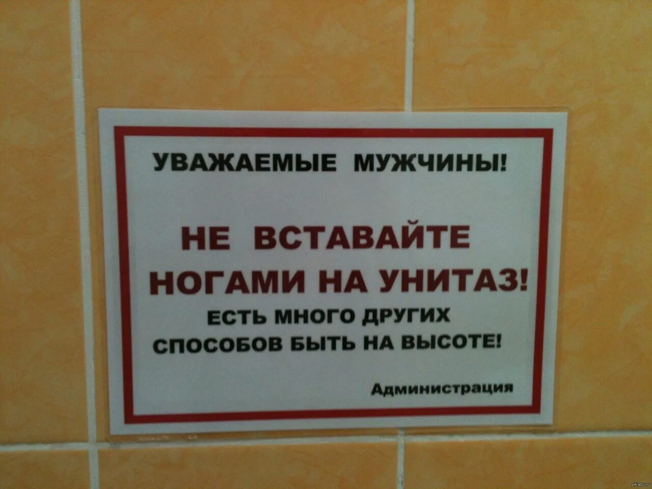 Есть несколько просьб
