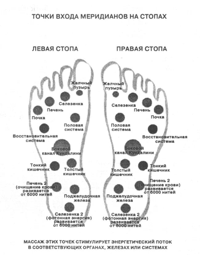 Точки меридианов на стопе. Точки меридианы на теле человека. Энергетические меридианы на стопе. Акупунктура меридианы таблица. Точка вход телефон