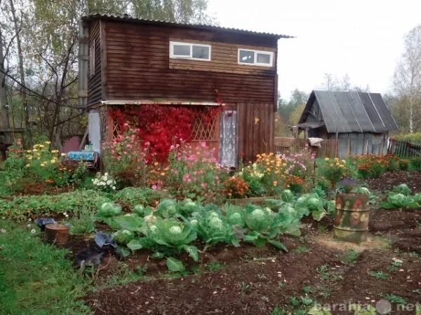 Садовый участок Мытищи. Садовые участки в городе Чусовом. Вичуга садовые участки. Пермский край брады садовые участки мечта. Участковый садовый