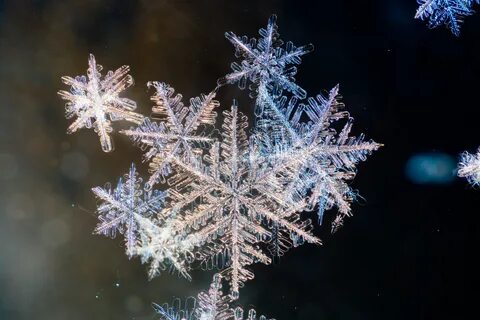 Снежинка на солнце
