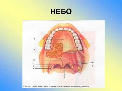 Высокое небо причины
