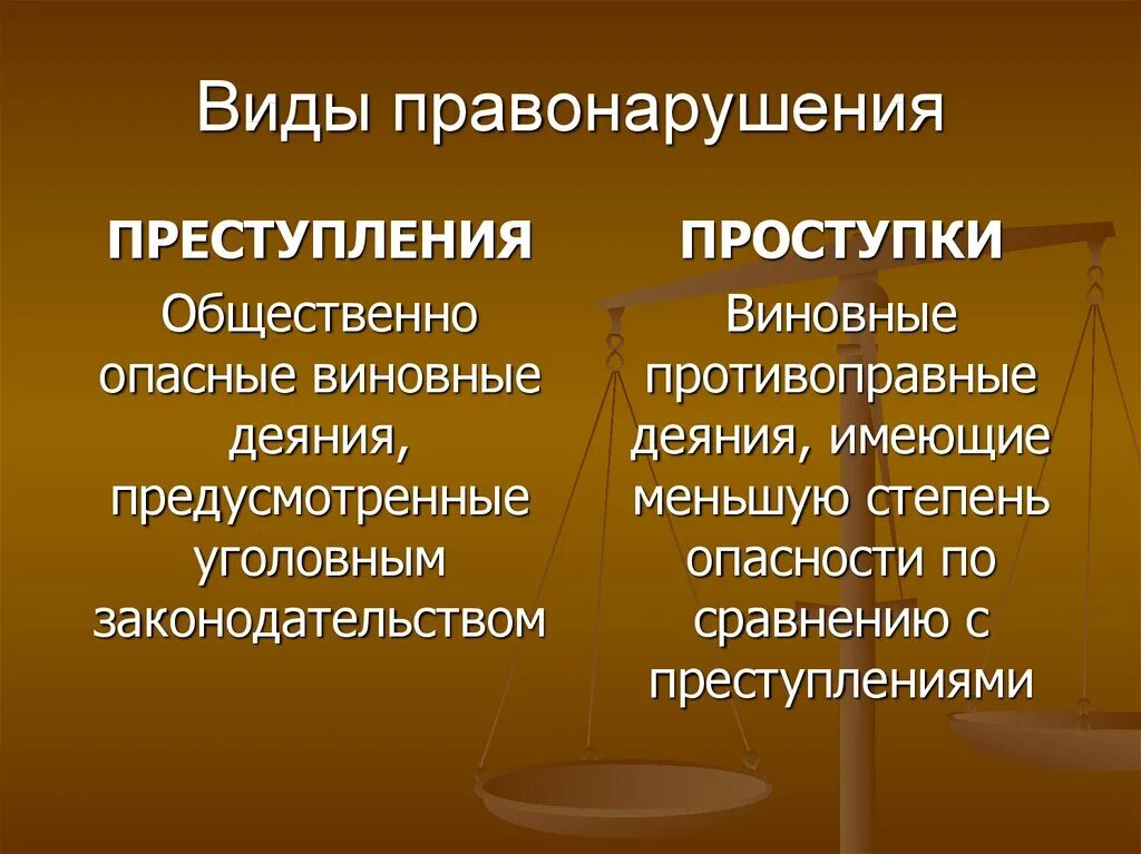 Виновное противоправное деяние совершенное лицом