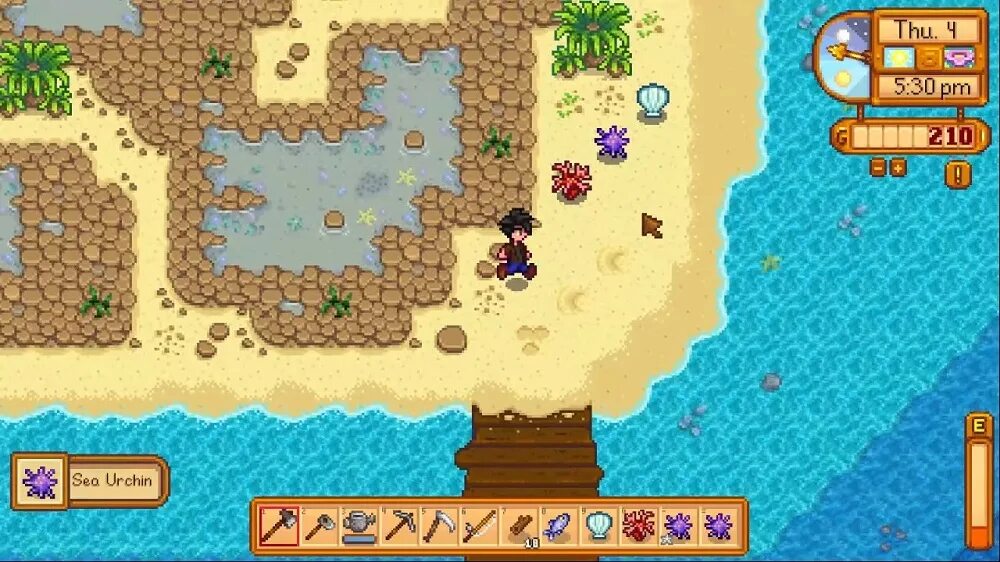 Stardew valley морошка. Лесная ферма stardew valley. Коралл стардью. Stardew valley карта лесной фермы. Коралл стардью.