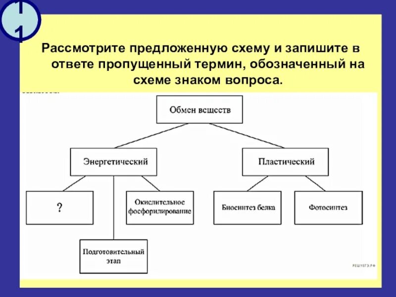 Процессы жизнедеятельности в картинке впр. Рассмотрите схему запишите в ответе пропущенный. Схема ответы на вопросы в предложении. Изучи схему и ответь на вопросы. Определите вид информации 5 класс.