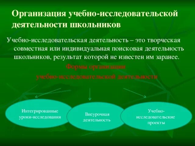 Исследовательская деятельность в учреждение