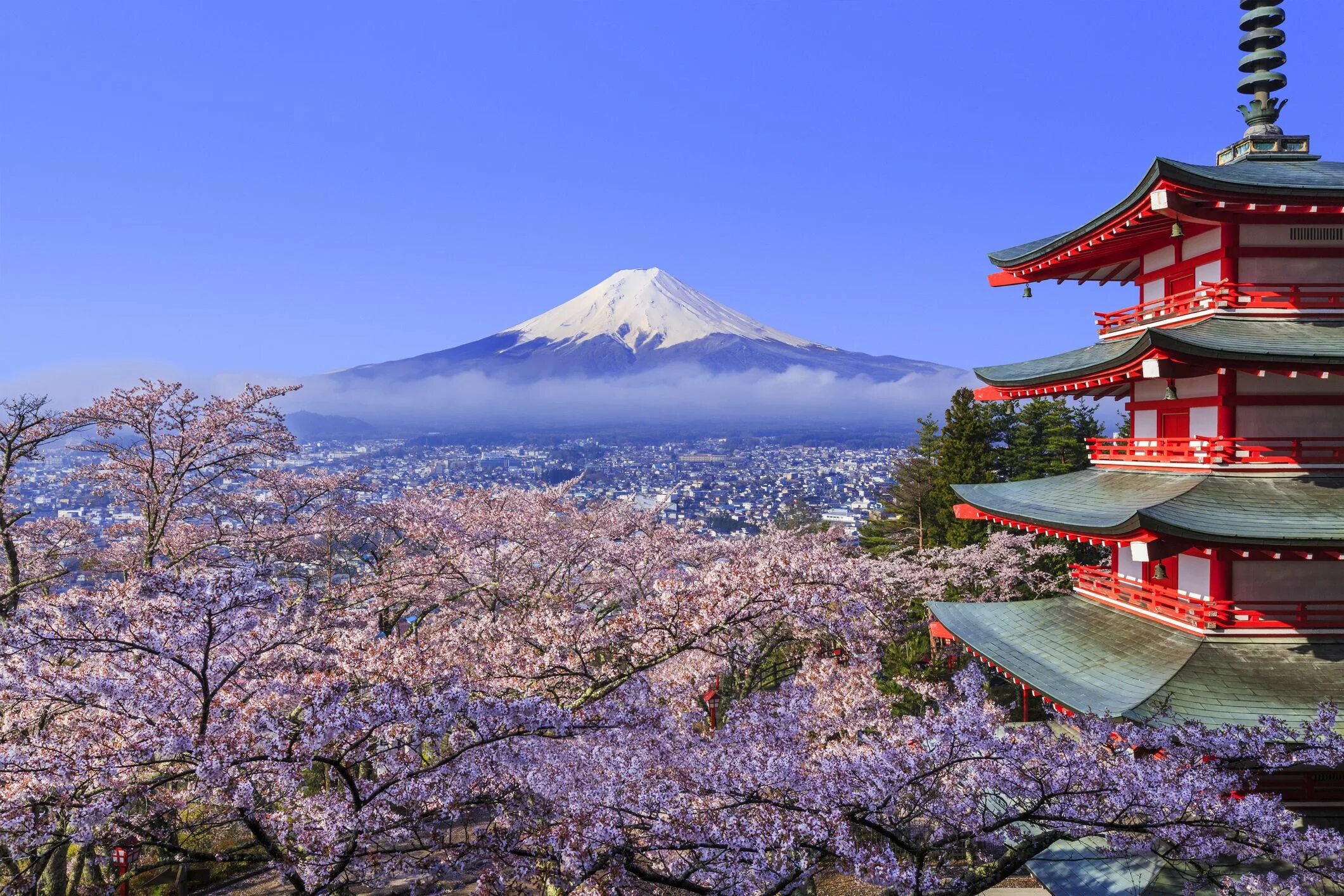 Japanese blossom. Фудзияма Япония. Киото Фудзияма. Буддийский храм Фудзияма. Япония Фудзи храм.