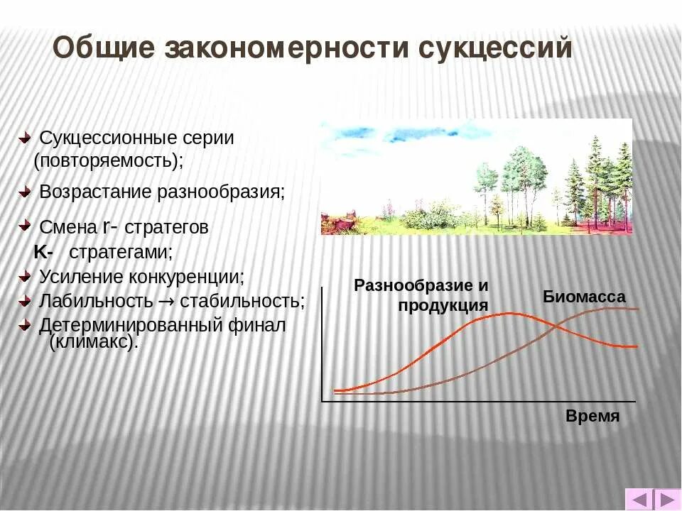 Сколько длится климаксное. Эндогенная сукцессия. Молодые сообщества сукцессии. Восприятие сукцессии. Этапы сукцессии в пресном водоеме.