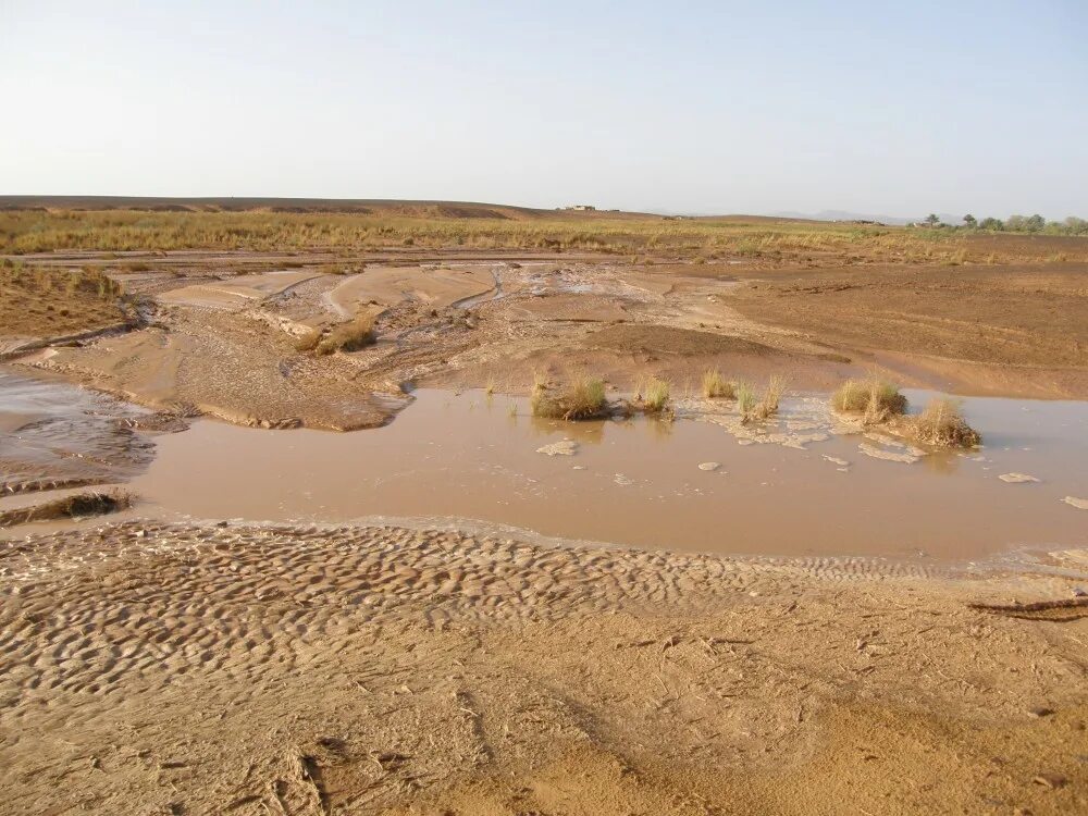 осадки сахары. пустыня зимой. осадки в сахаре. оазисы туркменистана. осадки сахары.