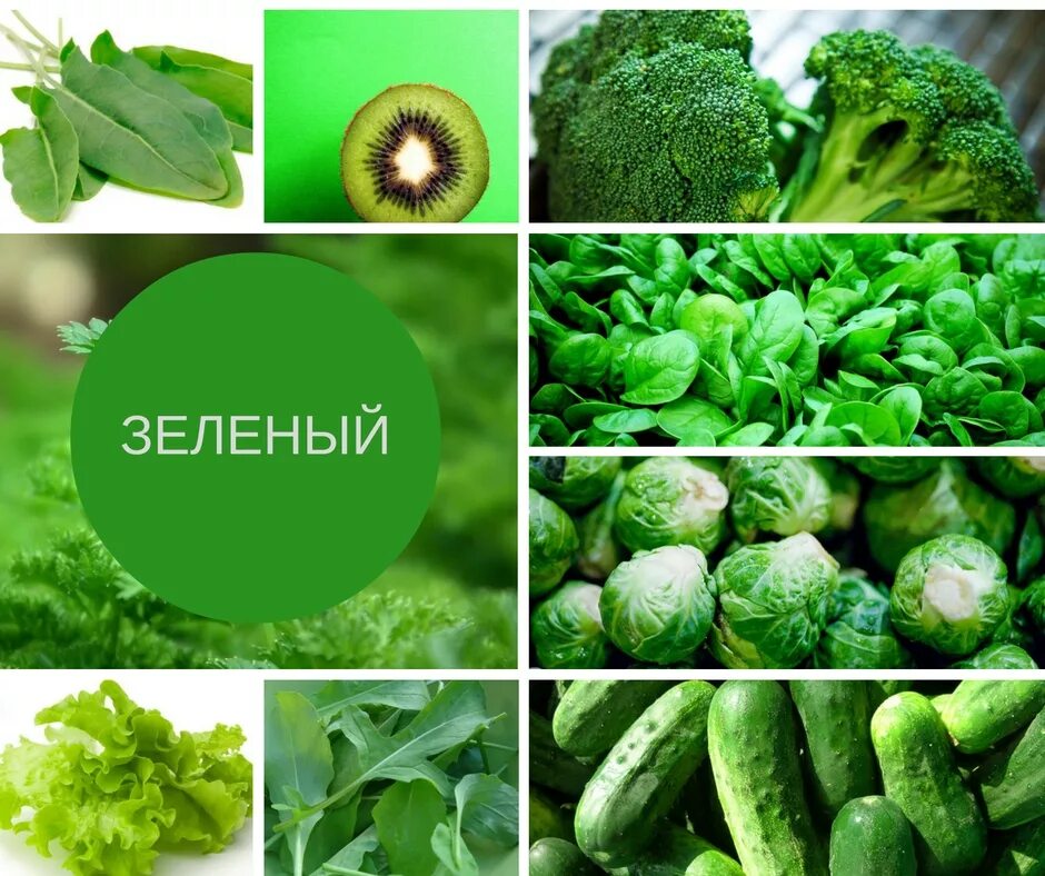 Какие бывают зеленые овощи. Зеленые овощи. Магний в зеленых овощах. Зелёные овощи список. Семейство зеленые овощи.