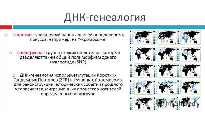 древо гаплогрупп народов мира. решетка днк. Single-nucleotide variant. сайт днк генеалогии. гаплогруппы народов мира древо схема.