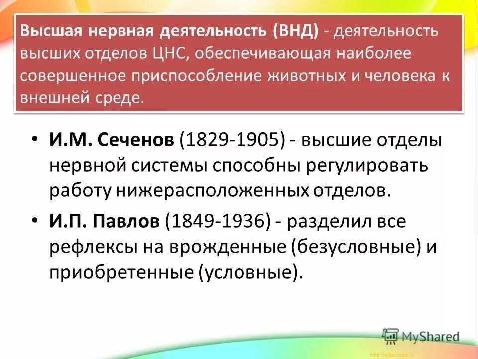 Высшая нервная деятельность человека презентация