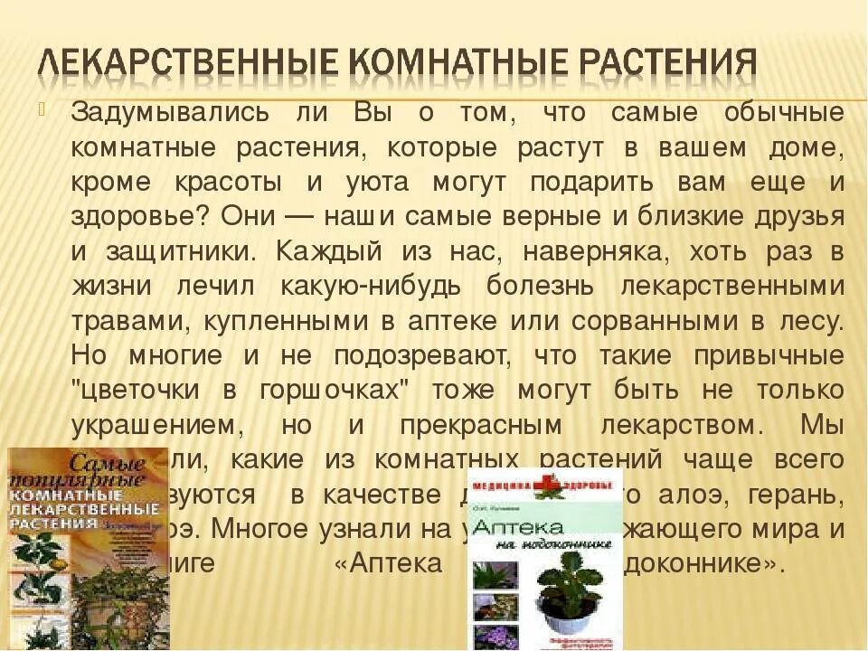 Лечебные свойства комнатных растений. Лекарственные комнатные растения. Комнатные лекарственные растения проект. Лекарственные комнатные растения презентация. Характеристика комнатных растений.