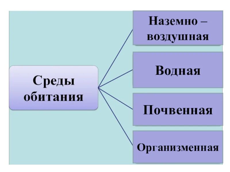 Организменная среда обитания характеризуется обилием. Почвенная и организменная среда обитания. Представители организменной среды жизни. Организменная среда обитатели среды. Организменная среда обитания обитатели.