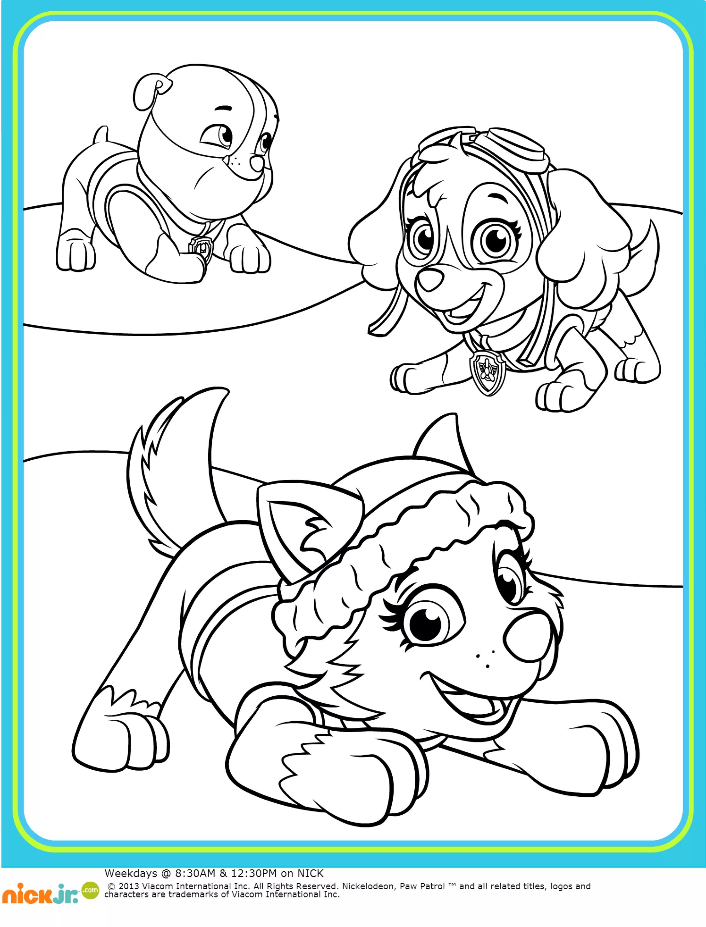 Распечатать раскраску щенячий. Эверест щенячий патруль раскраска. paw patrol раскраска скай. щенячий патруль раскраска для детей скай. раскраска a4 &quot;щенячий патруль&quot;.