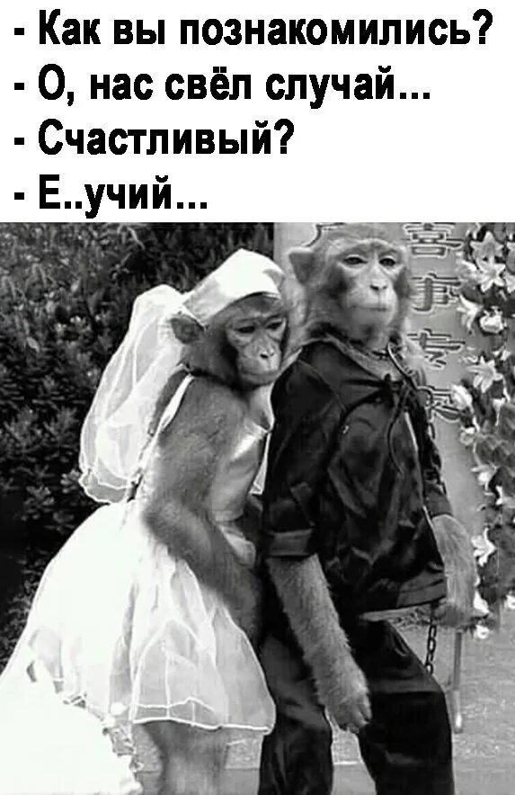 Как познакомились картинки. Сегодня два месяца как мы познакомились с тобой. Познакомь нас с ней. Открытки любимому на расстоянии мужчине. Нас свел ебучий случай.
