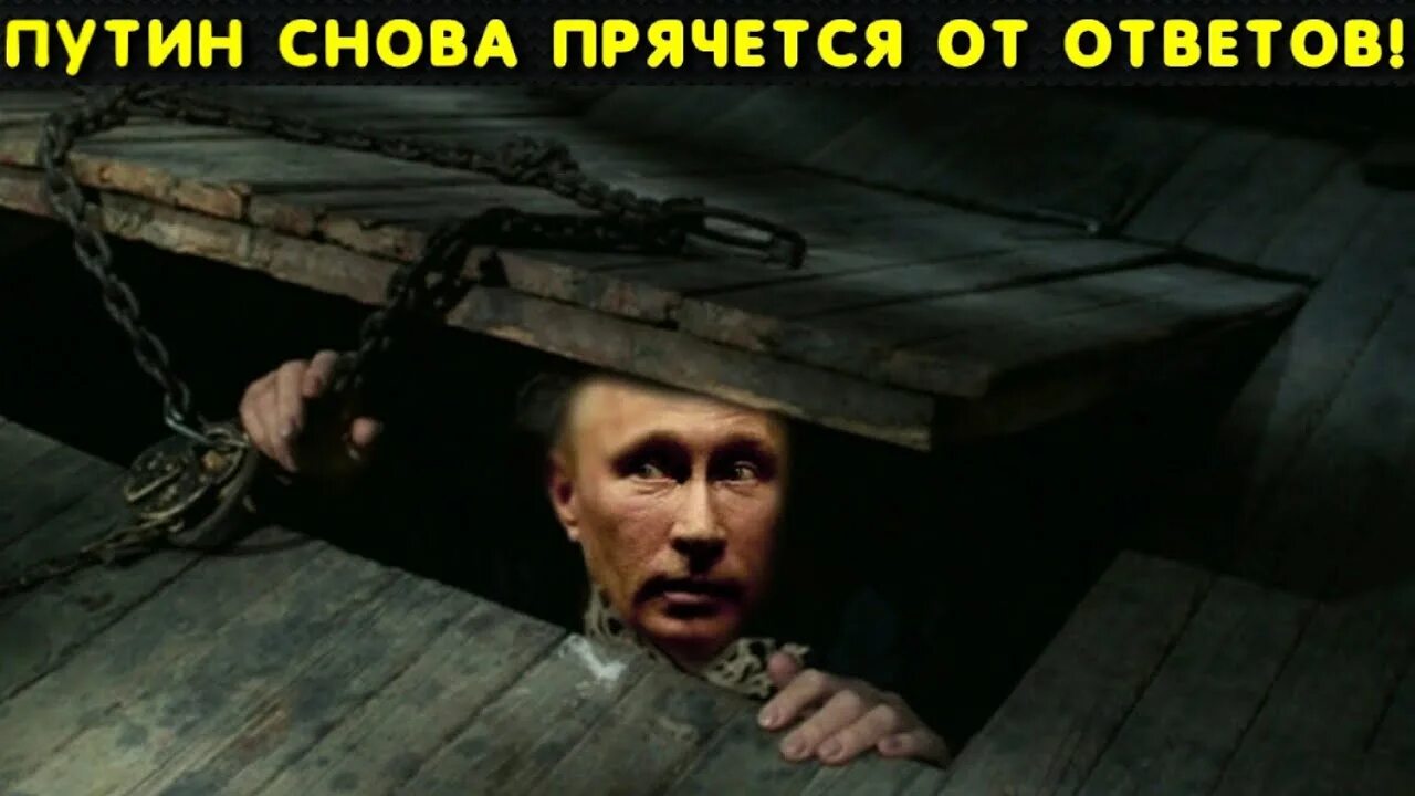 Дыры продажной твари