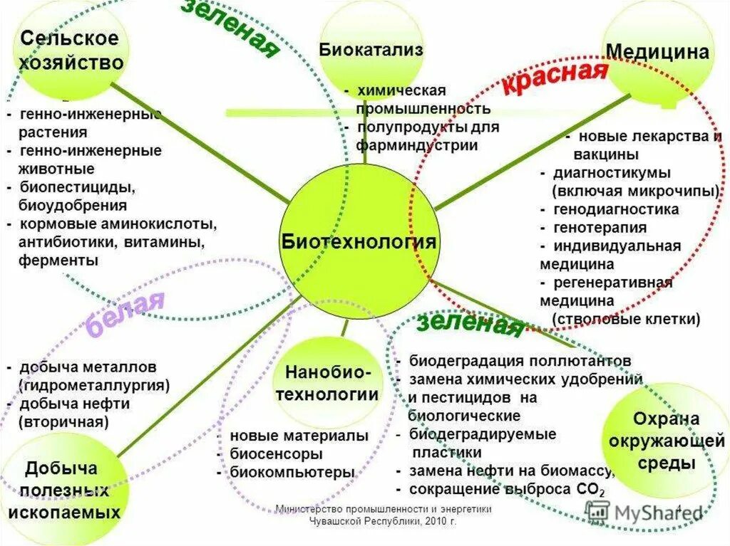 Сферы биотехнологии. Биотехнология схема. Биотехнология кластер. Отрасли биотехнологии. Связь биотехнологии с другими науками.