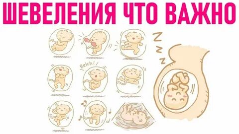 Тест шевеления плода как считать