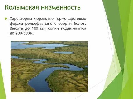 Барабинская низменность полезные ископаемые