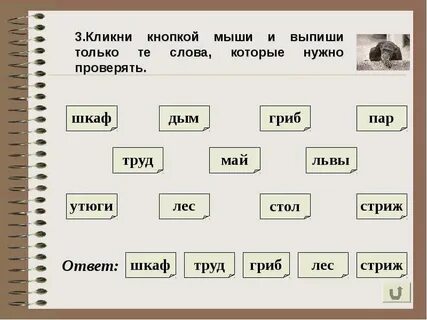 Парная согласная в слове лес
