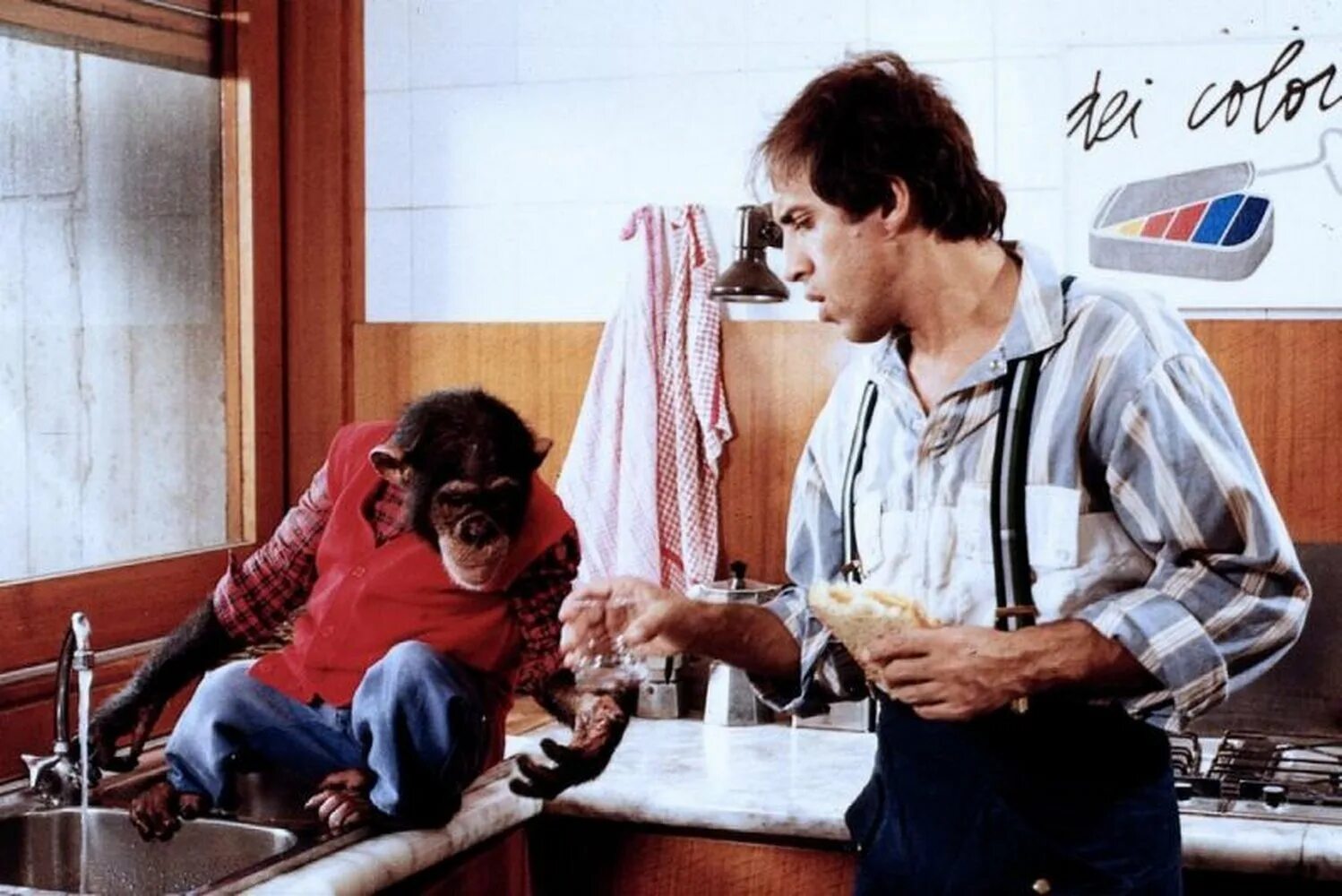 Бинго бонго (1982). Бинго с челентано. Адриано челентано бонго. Бинго с челентано. Бинго бонго.
