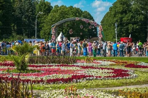Парки работают сейчас