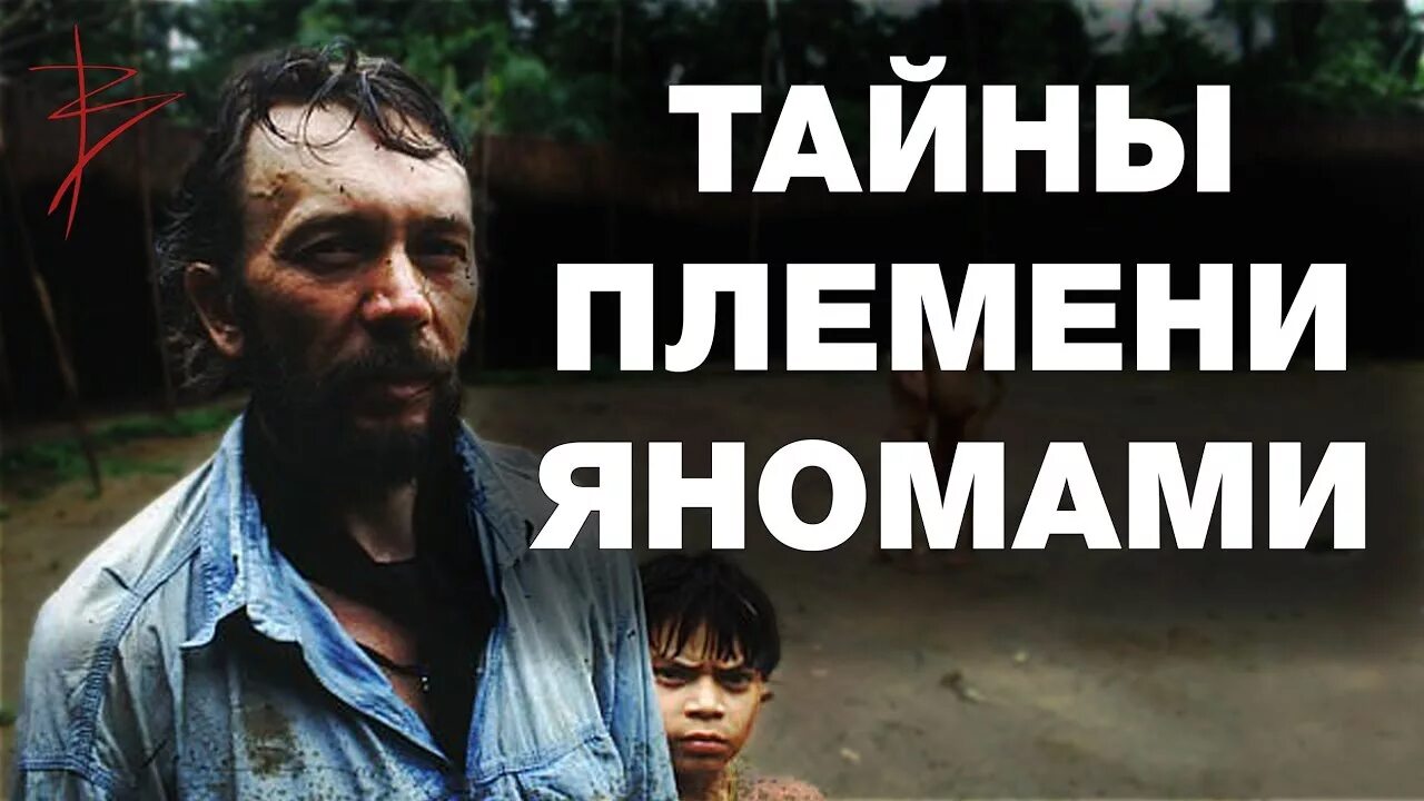Коты воители путеводители герои племен. Книга коты воители путеводитель закон племён. Секреты племен коты воители читать. Коты воители путеводители. Коты воители секреты племён.
