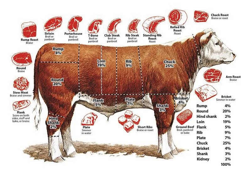 Рибай на схеме коровы. Части туши говядины Рибай. Стейк Рибай часть туши. Рибай на схеме разделки говяжьей туши.
