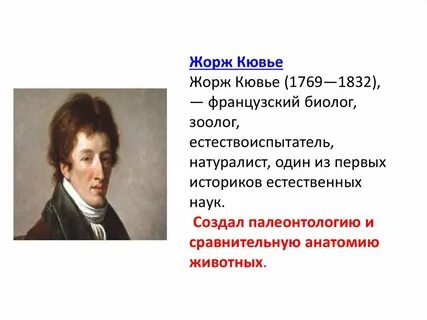 Взгляды кювье