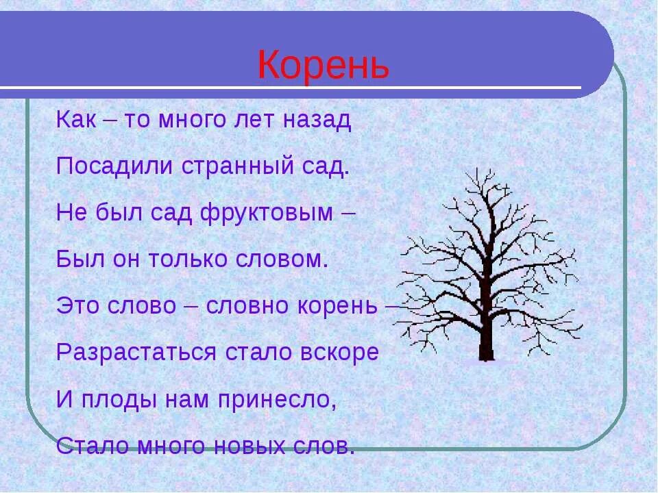 Корень лет. Слова с корнем лет лёт. Корень лет лёт. Корень слова.