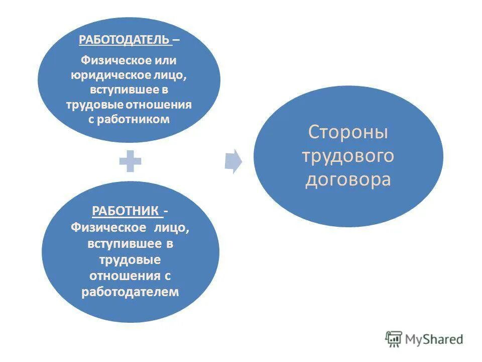 Работодатель физическое лицо и юридическое. Стороны трудового договора. Физ лицо или юр лицо. Работодатель юридическое лицо и физическое лицо. Общая характеристика сторон трудового договора