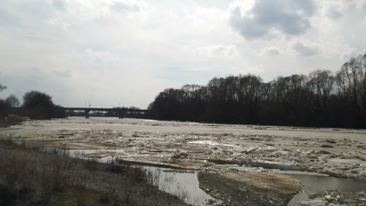 Уровень реки мокша