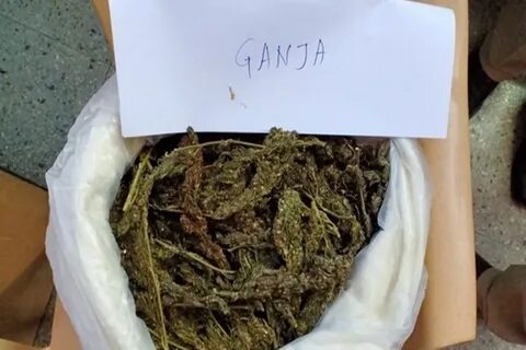 В салоне дым пакистанской ганжи