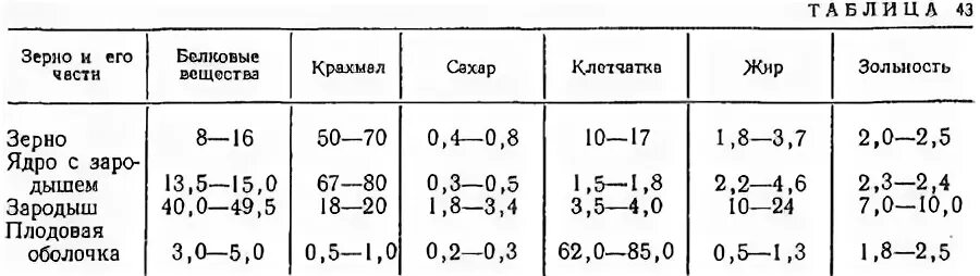 По рисунку определите средний размер зерна гречки. Строение семени гречихи. зерно гречки строение. строение зерна гречихи. химический состав гречихи.