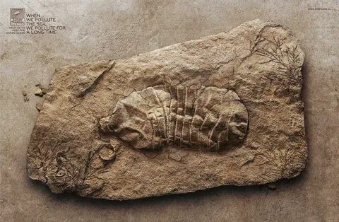 В течение 500 лет