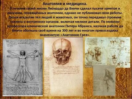 Леонардо да винчи что открыл в биологии