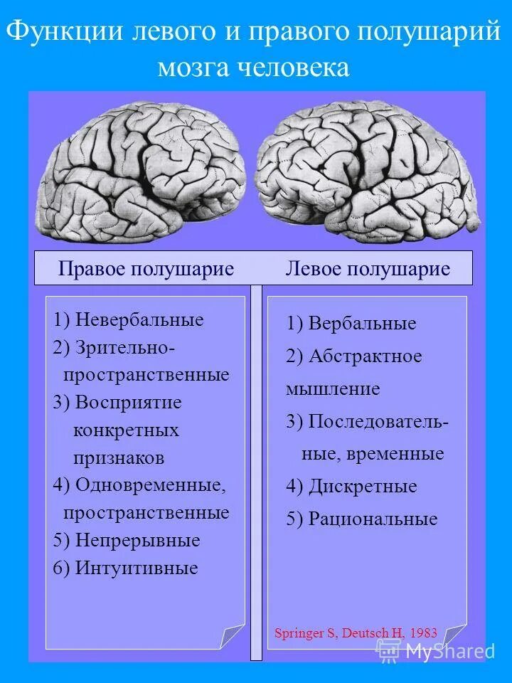 Какое полушарие головного мозга. За что отвечает правое полушарие головного мозга. Правое и левое получарии. Функции правого и левого полушария. Функции правого полушария головного мозга.