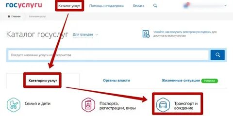 Госуслуги открытие категории