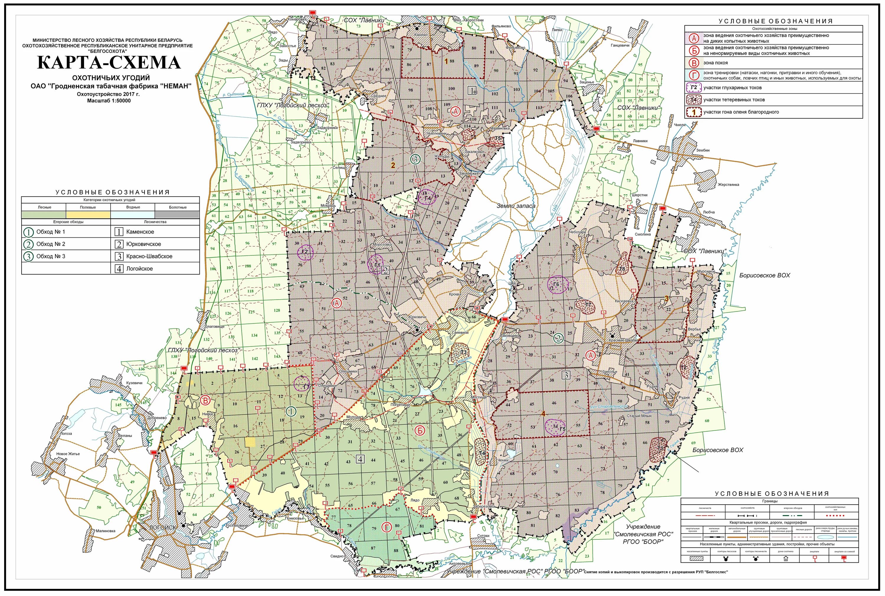 Борисовское охотничье хозяйство карта. Карта лесных угодий. Карта кварталов леса. Охотничье хозяйство схема. Карты лесного хозяйства