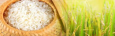 Рис какой продукт