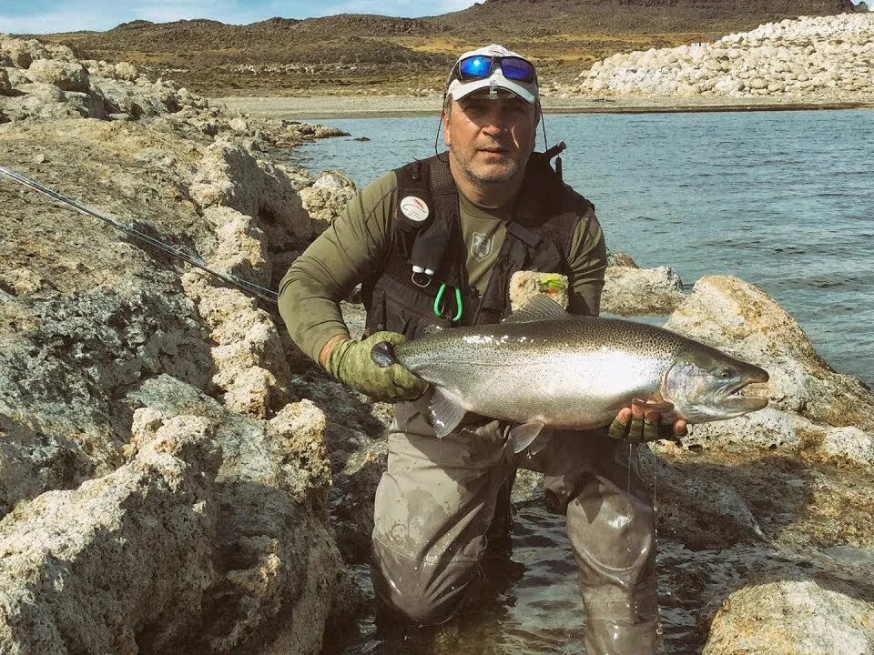 рыбалка передача дикий