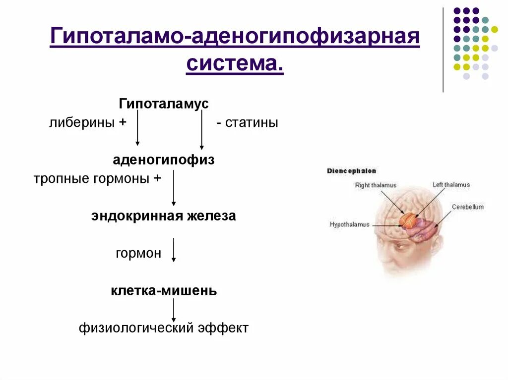 C запущенный процесс