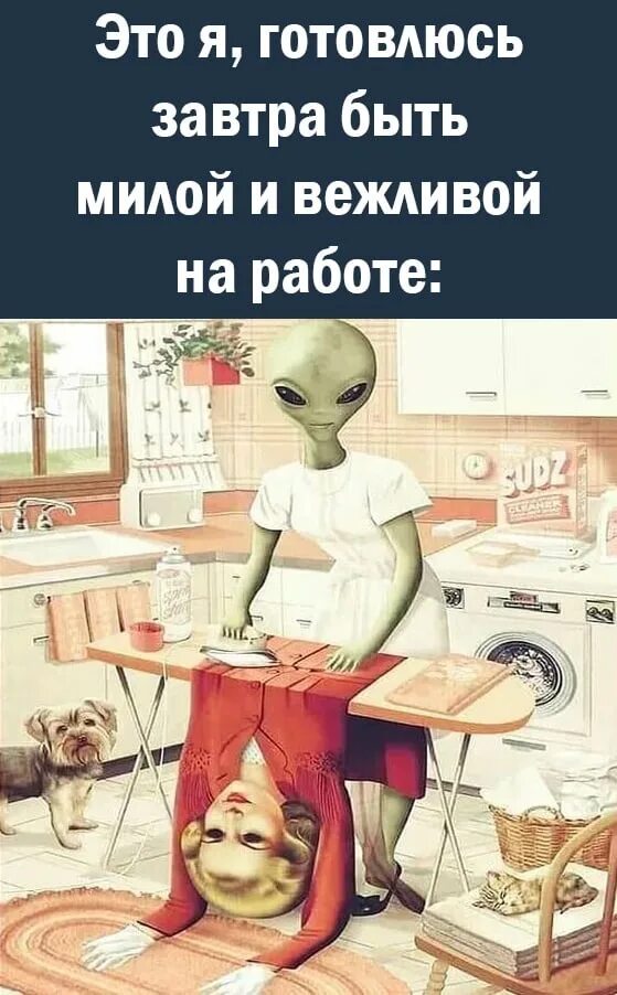 Буду готовится к русскому