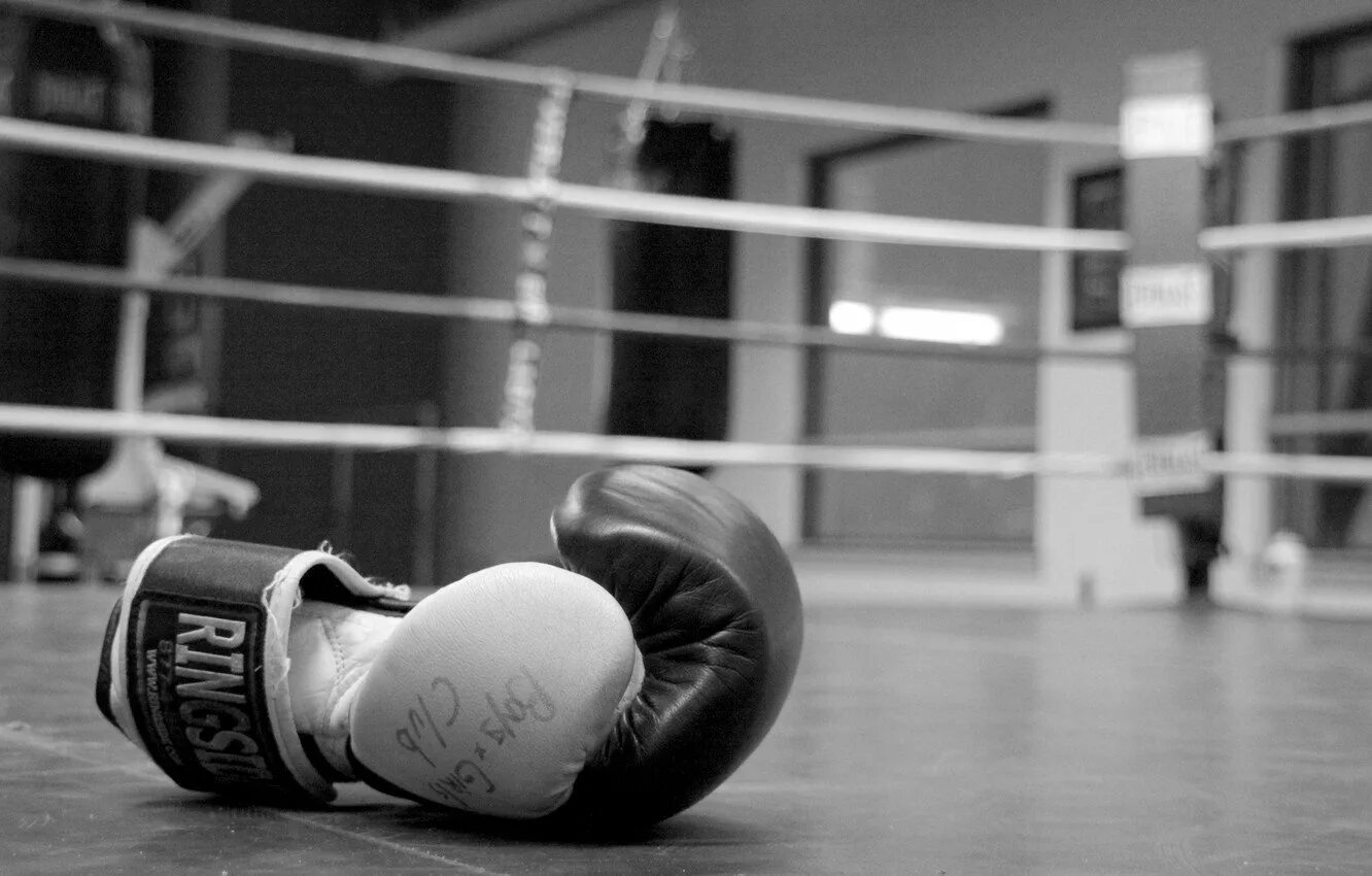 Study boxing