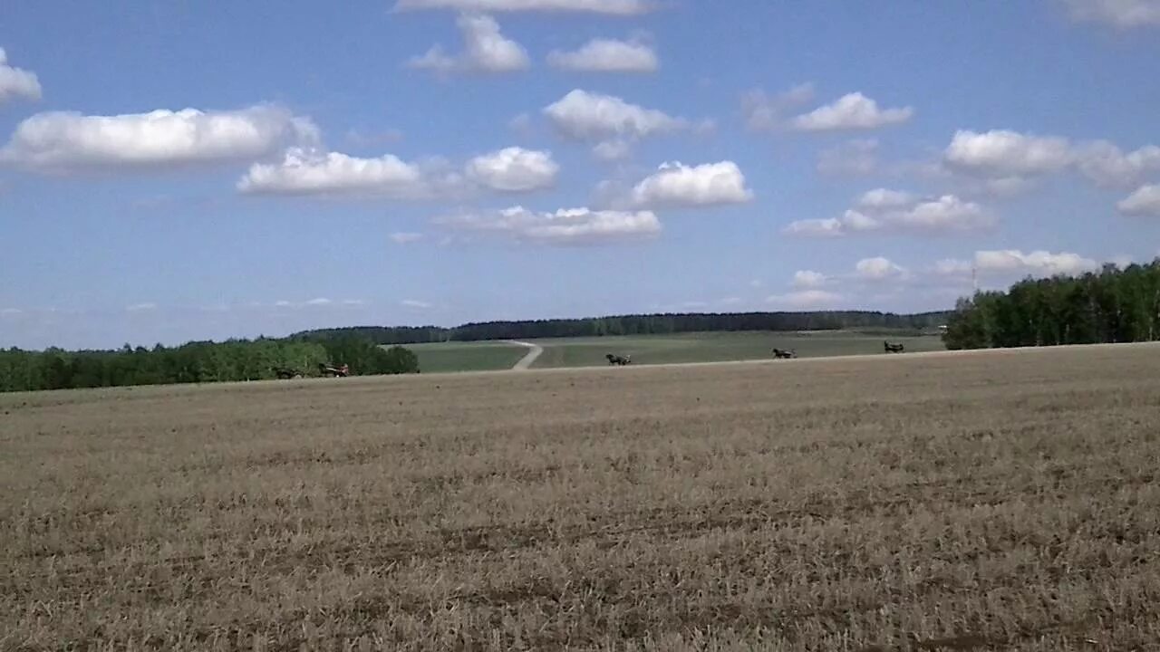Погода в алари. Погода в алари. Погода в алари. Погода в алари. Забитуй иркутская область.