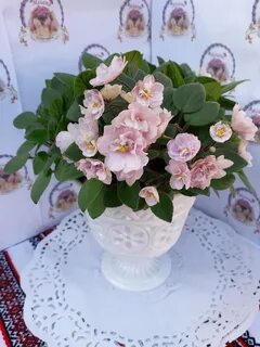 Pink mint