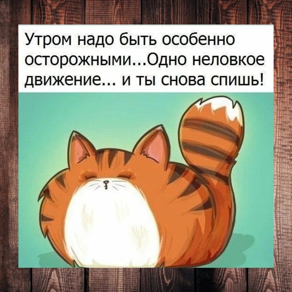 Утро добрым не бывает картинки прикольные смешные. Доброе утро юмор. утренний юмор в картинках. утренние шутки. доброе утро юмор шутки.