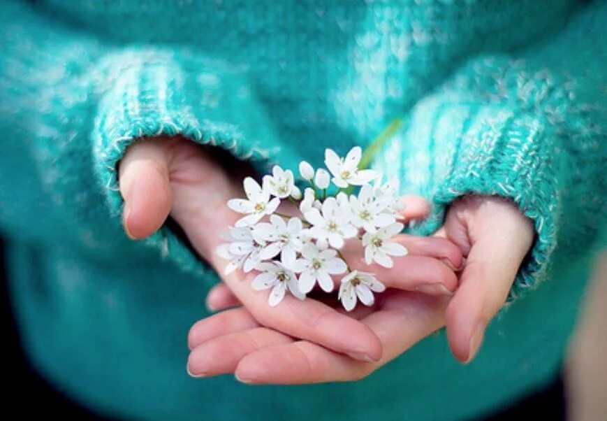 Нежные цветы в руках. Цветочек в ладошках. Цветок на руку.. Цветы в ладонях. Доброта и нежность сердца